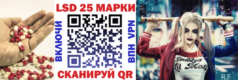 shop официальный сайт  Щучье  LSD-25 экстази кислота  где продают наркотики  omg как войти 