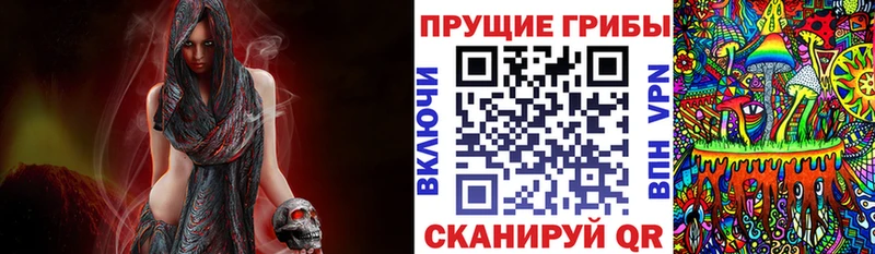 Галлюциногенные грибы мухоморы Щучье